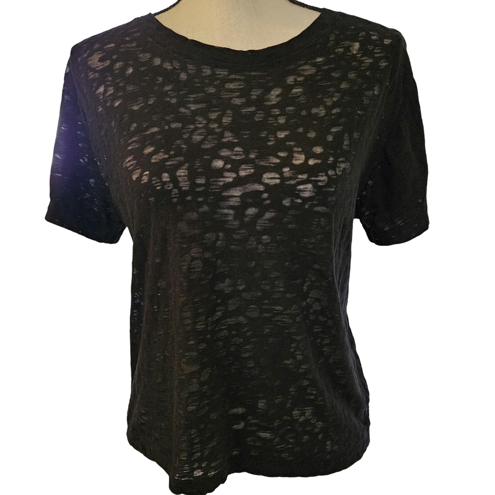 Semi Sheer Cropped Short Sleeve T Shirt, Black, Size 13